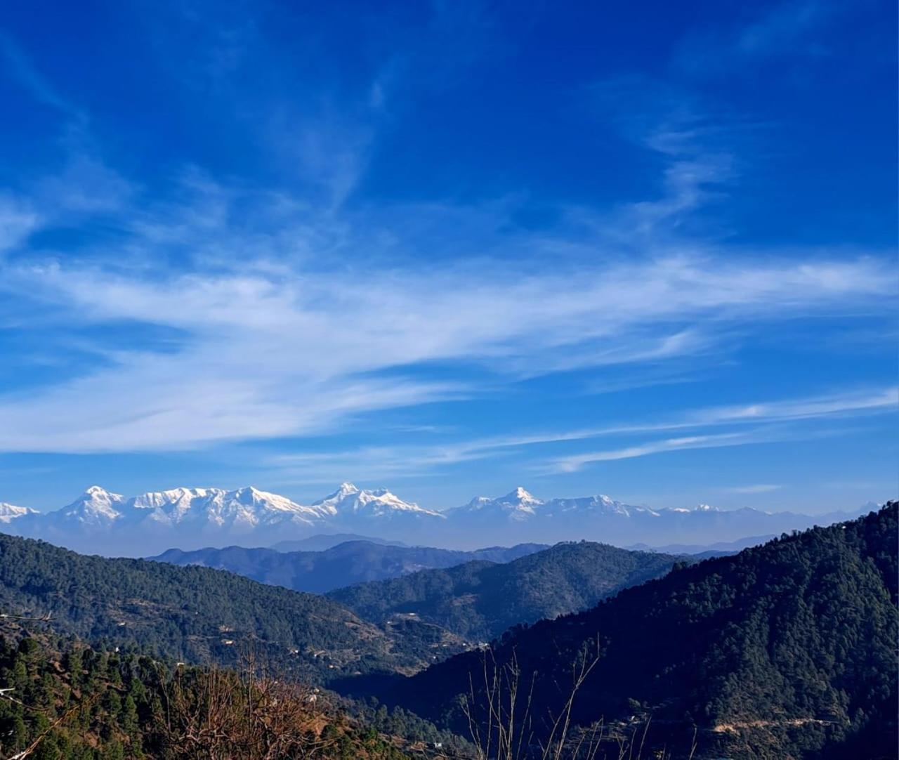 The Pahadi Nest Mukteshwar Hotel Kültér fotó